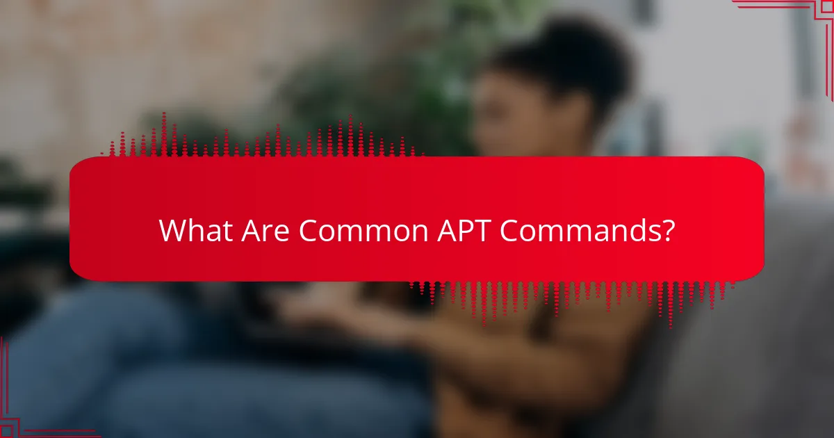 What Are Common APT Commands?